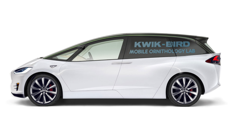 Illustration for article titled The Tesla Model X Should Have Been A Van